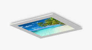 Scene Photo Graphics 2x2 Surface Product Image